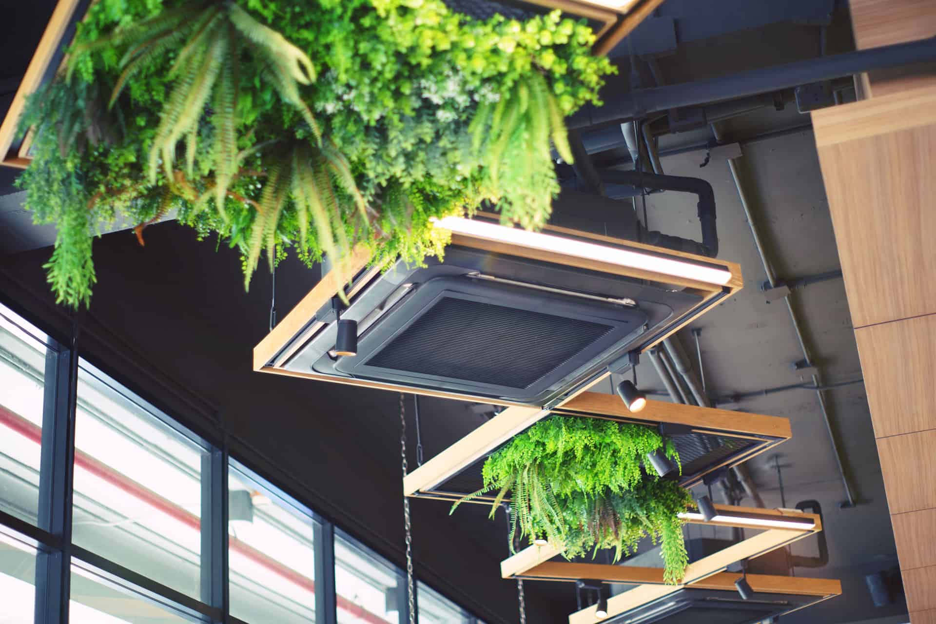 ceiling plants air conditioning